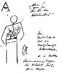 Kineziologija i biomehanika